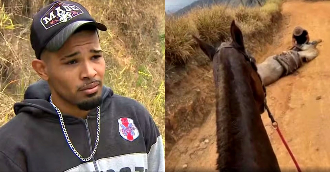 Andrey Guilherme Nogueira de Queiroz - mutilou-cavalo-maus-tratos