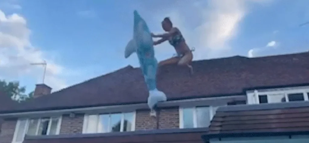 Modelo - telhado - piscina - Lorna Joyce