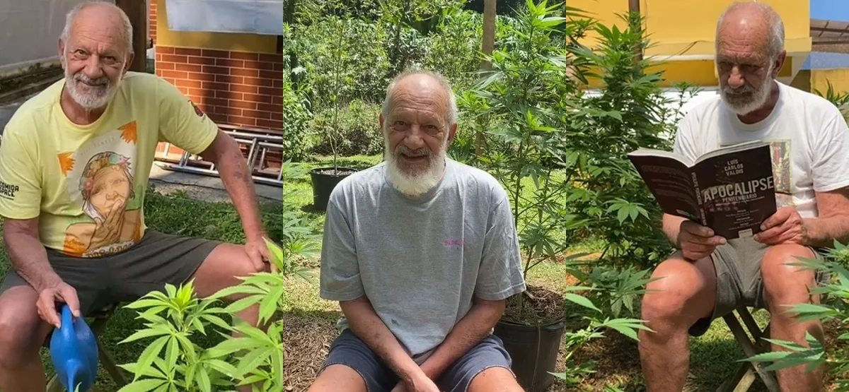 Ricardo Petraglia - plantação maconha