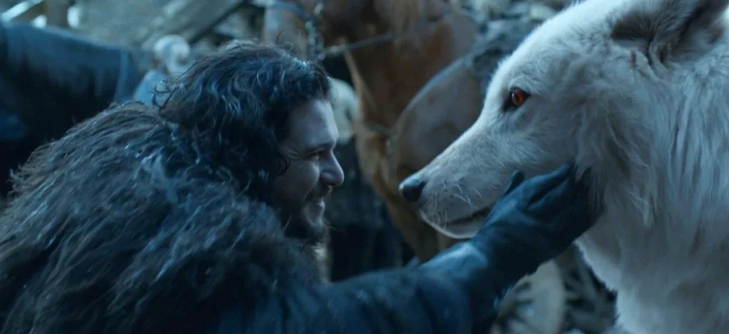 lobo