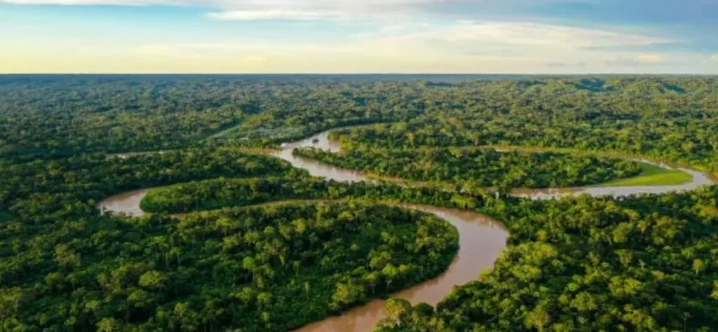Amazônia