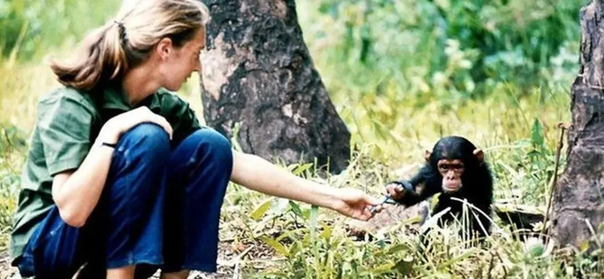 Jane Goodall