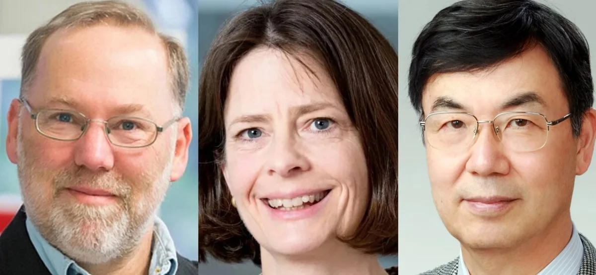 Mary E. Brunkow - Fred Ramsdell - Shimon Sakaguchi