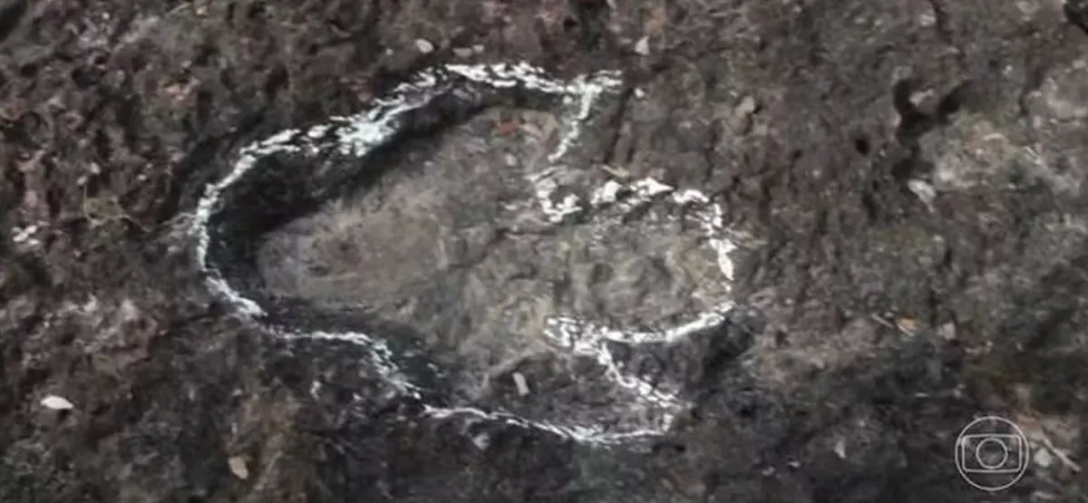 Pegadas de Dinossauros - Amazônia