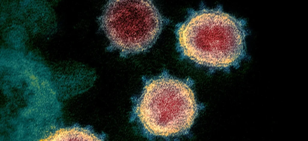 novo coronavírus