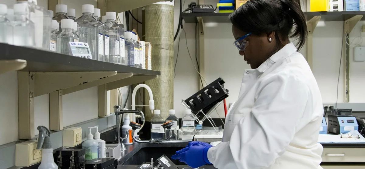 pesquisa científica