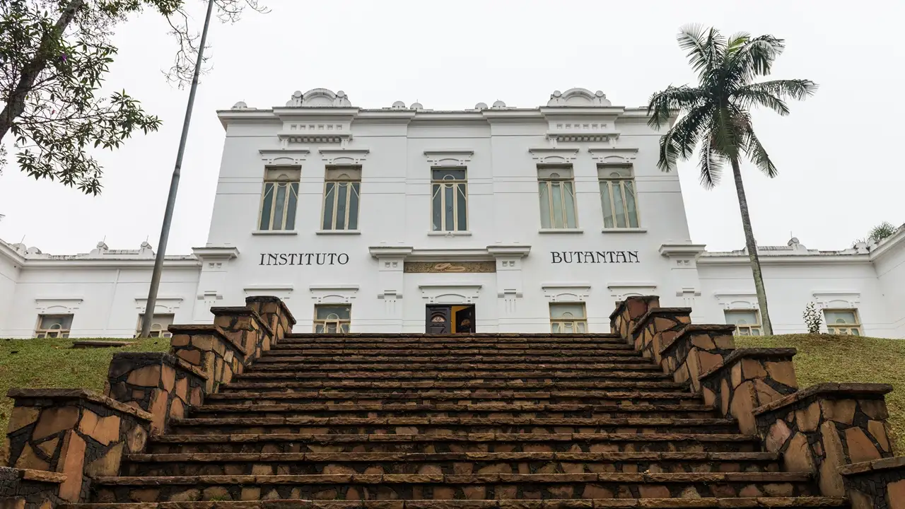 Instituto Butantan