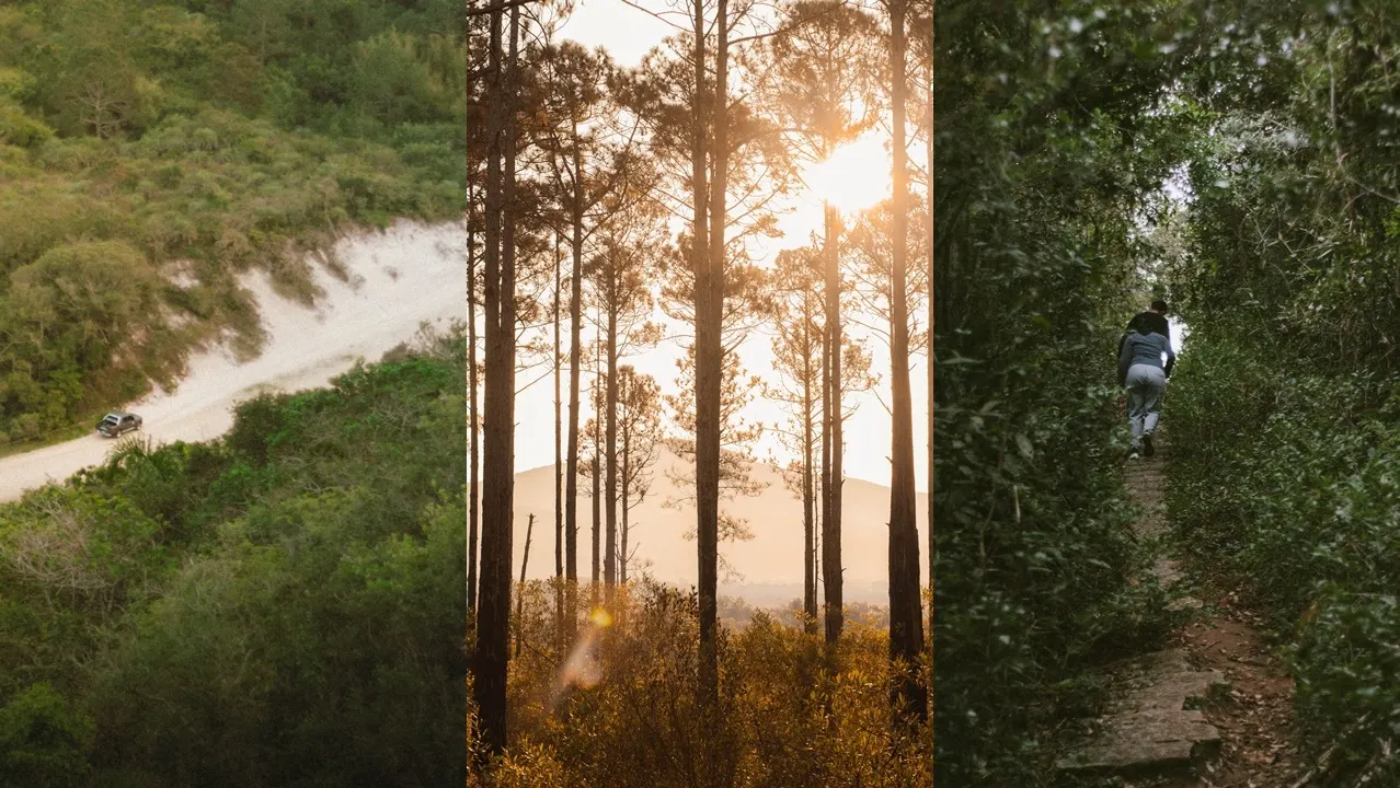 Trilha da Praia do Ouvidor - Trilha do Caranha - Trilha da Praia do Ouvidor