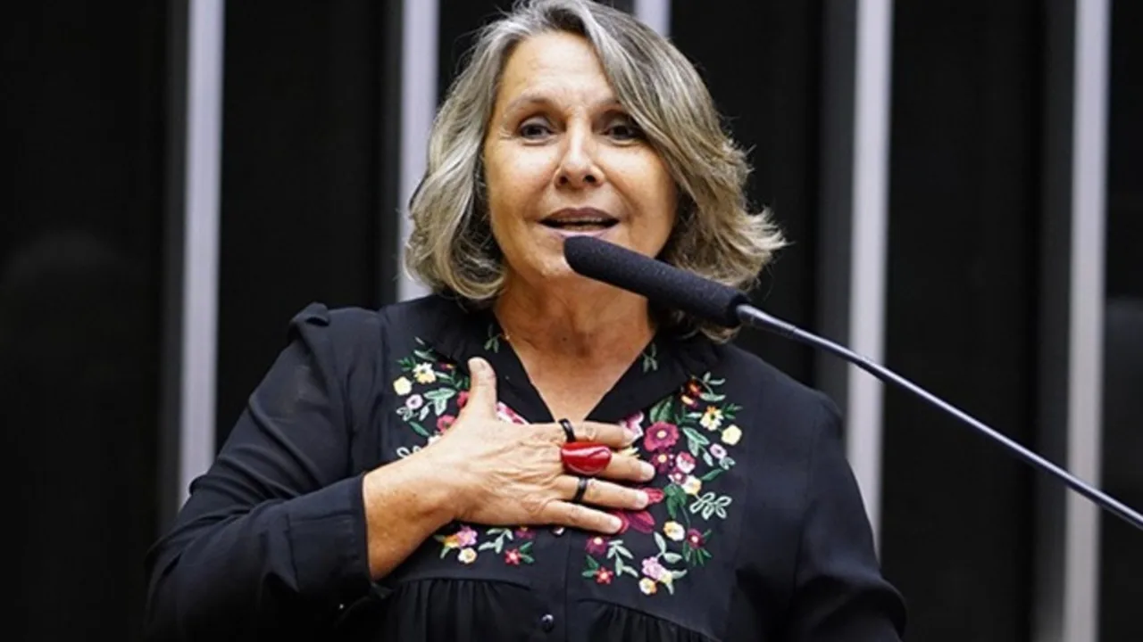 deputada federal Érika Kokay