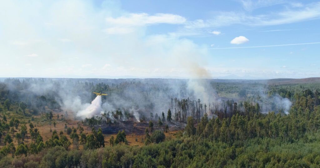 estado de catástrofe