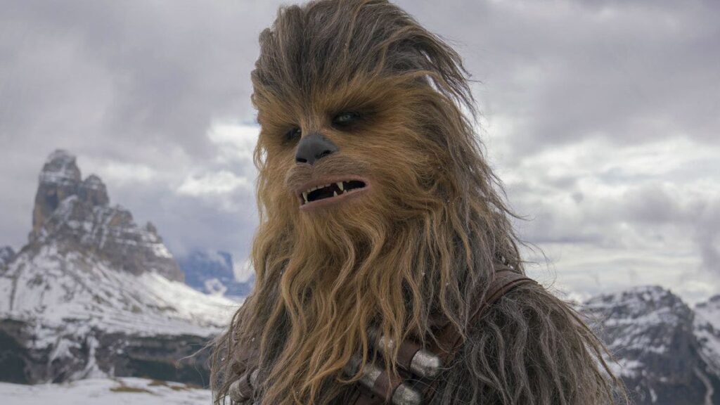 fantasiado de chewbacca