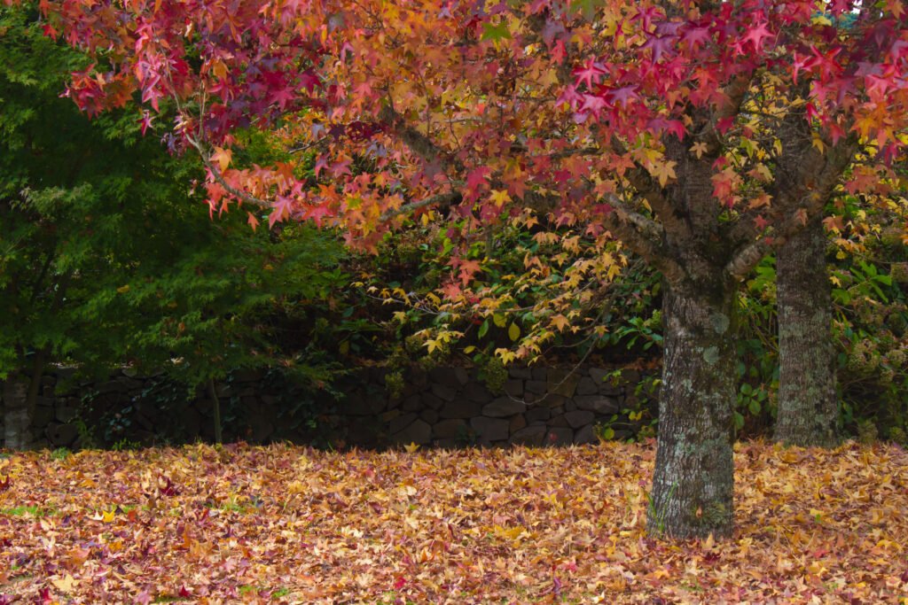 outono 2026 previsão