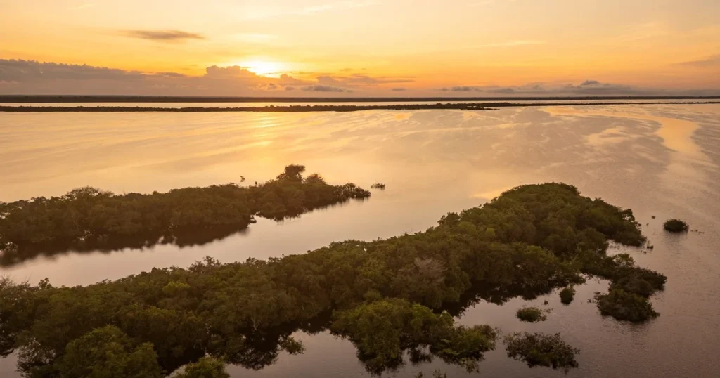 Anavilhanas - viagem