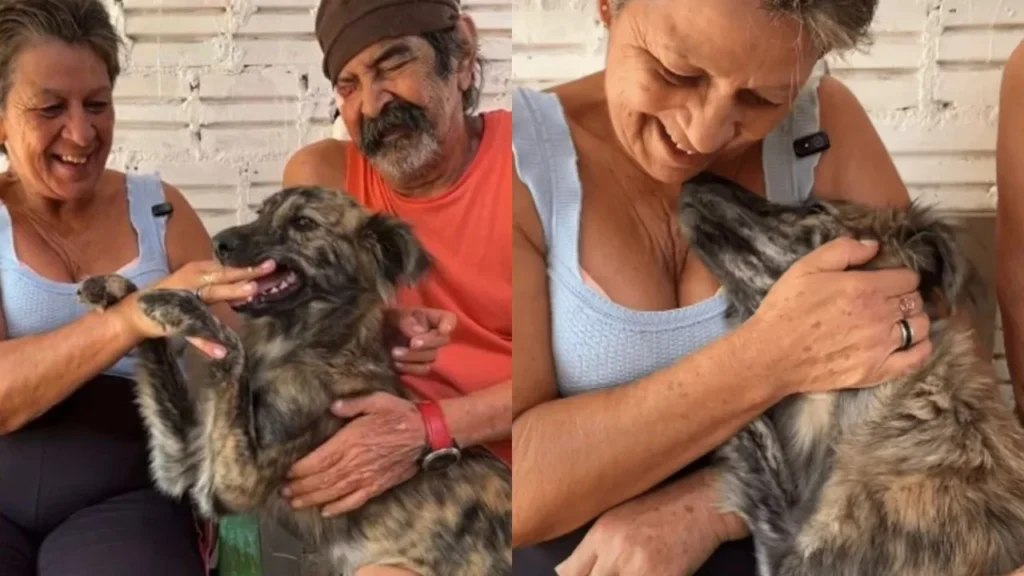 Cadela que defendeu Jesus - reencontra família