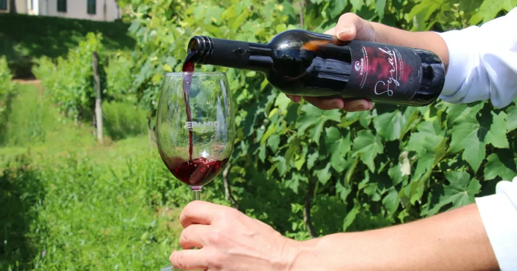 vinhos brasileiros ouro