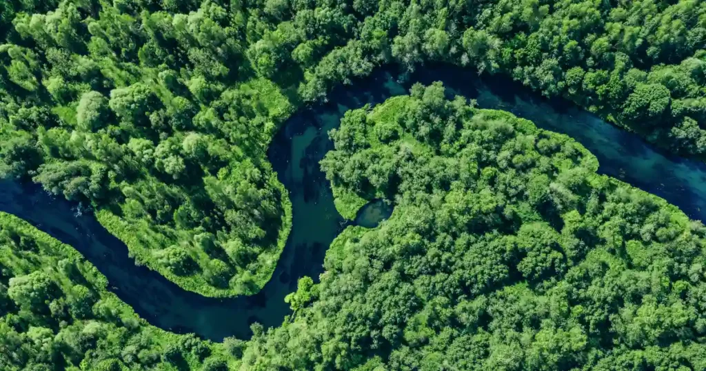 desmatamento Amazônia