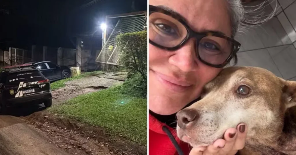 secretária matança animais eutanásia de animais