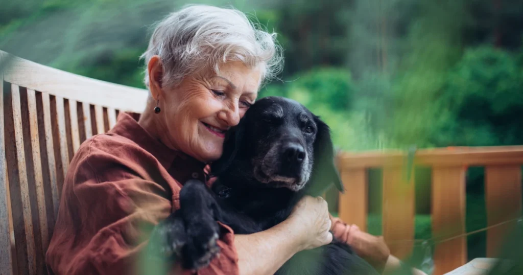 envelhecimento cães humanos